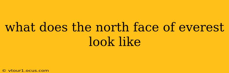what does the north face of everest look like