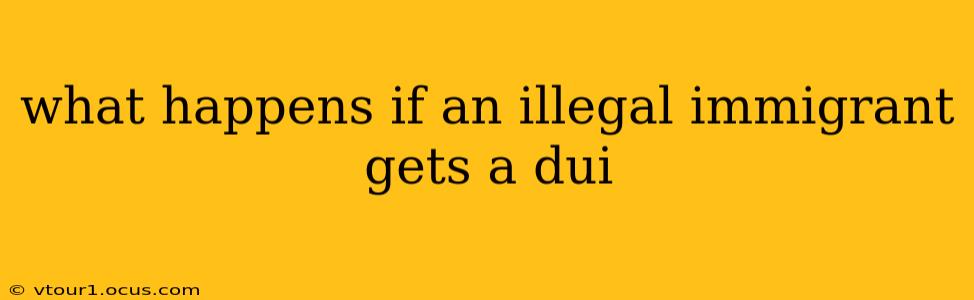what happens if an illegal immigrant gets a dui