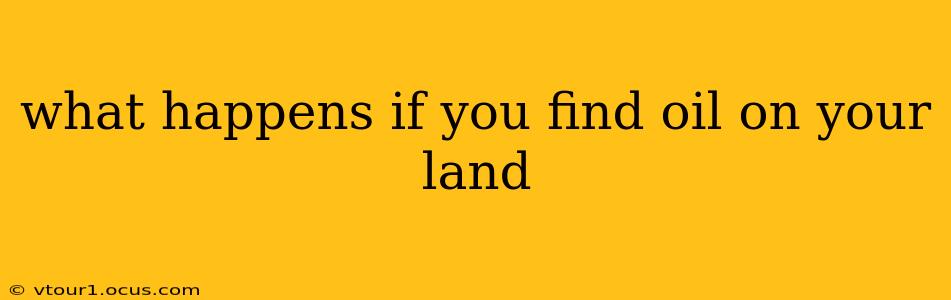 what happens if you find oil on your land