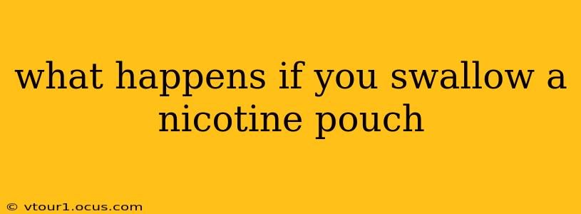 what happens if you swallow a nicotine pouch