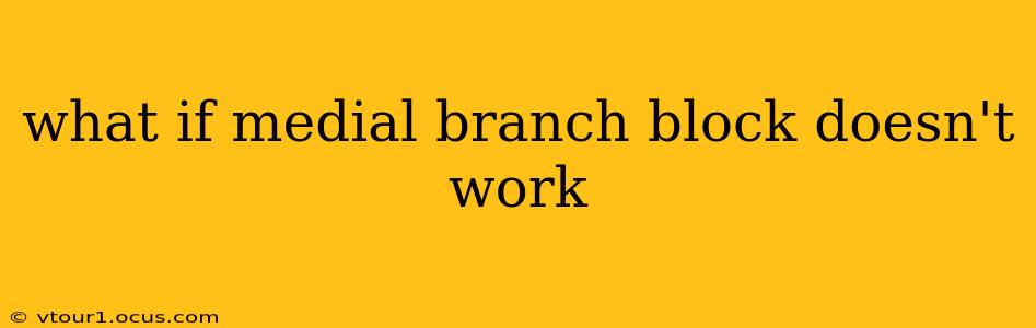 what if medial branch block doesn't work