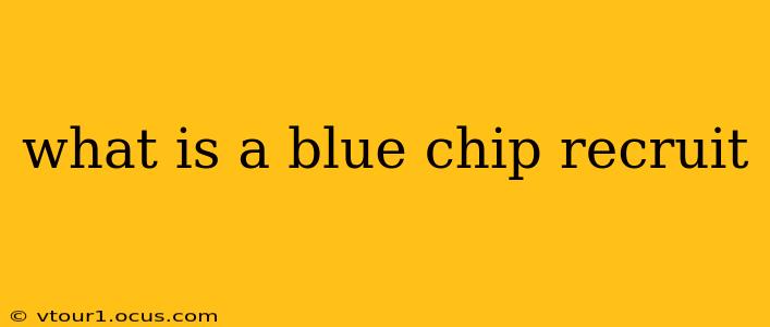 what is a blue chip recruit
