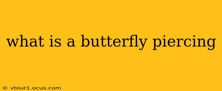 what is a butterfly piercing