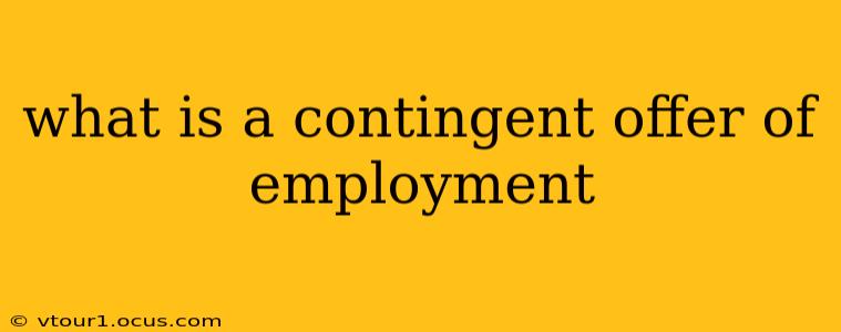 what is a contingent offer of employment