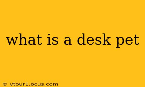 what is a desk pet
