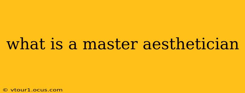 what is a master aesthetician