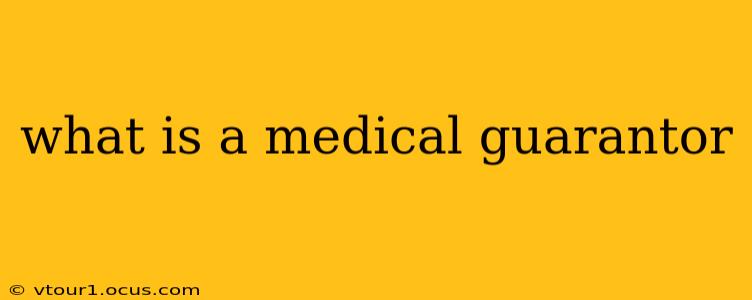 what is a medical guarantor