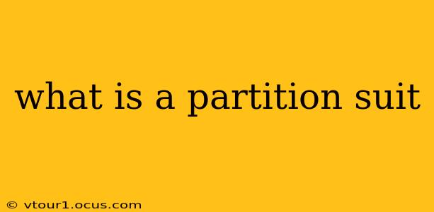 what is a partition suit