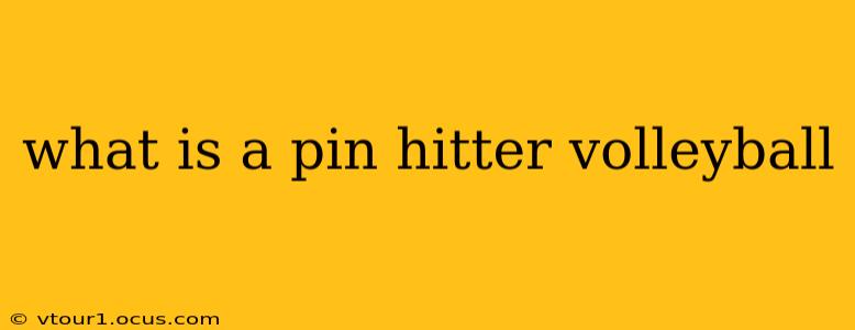 what is a pin hitter volleyball
