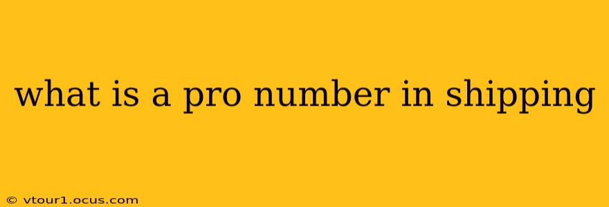 what is a pro number in shipping
