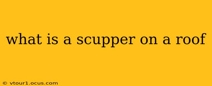 what is a scupper on a roof