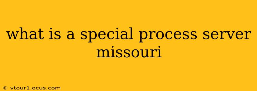 what is a special process server missouri