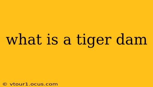 what is a tiger dam