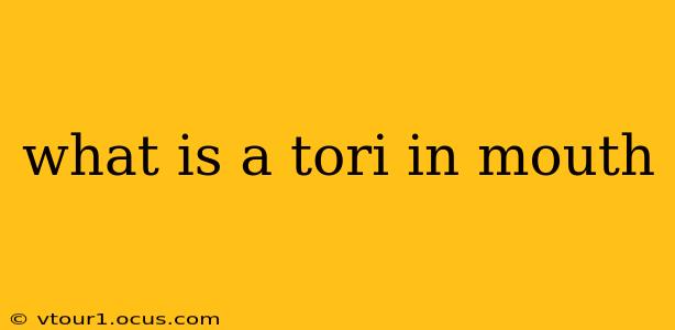 what is a tori in mouth