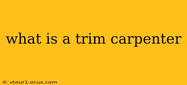 what is a trim carpenter