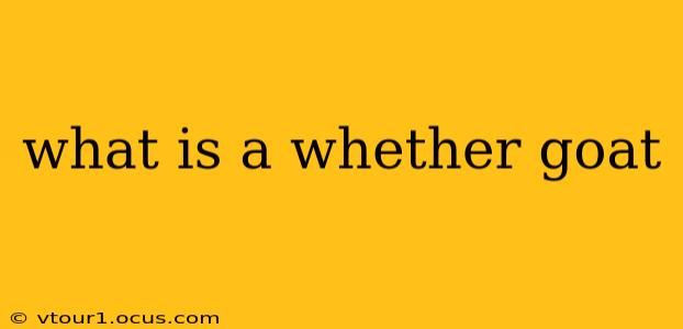 what is a whether goat