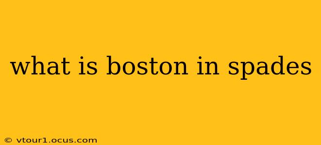what is boston in spades