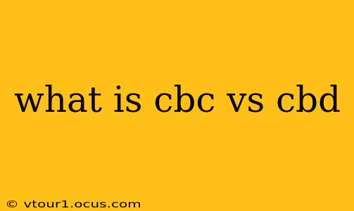 what is cbc vs cbd