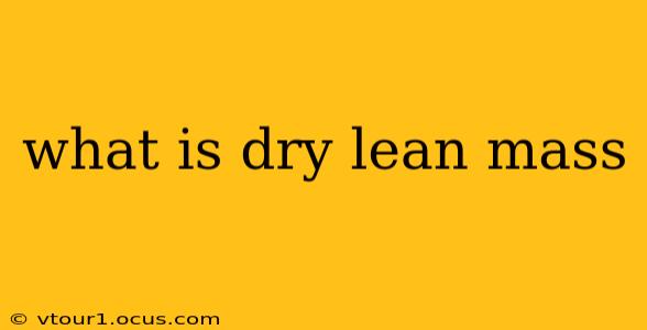what is dry lean mass