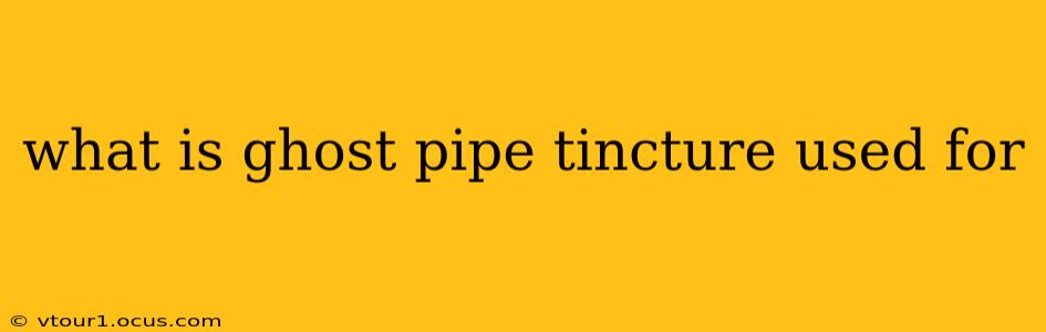 what is ghost pipe tincture used for