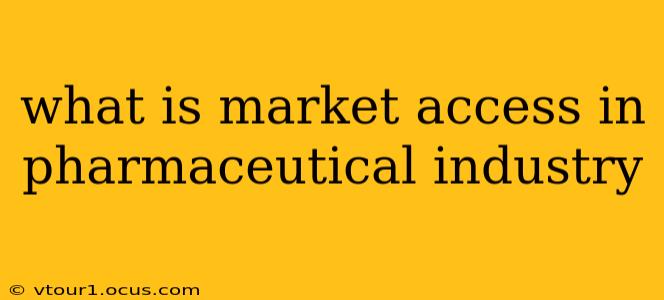 what is market access in pharmaceutical industry