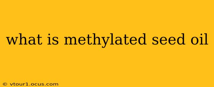what is methylated seed oil