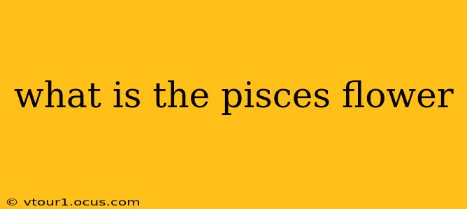 what is the pisces flower
