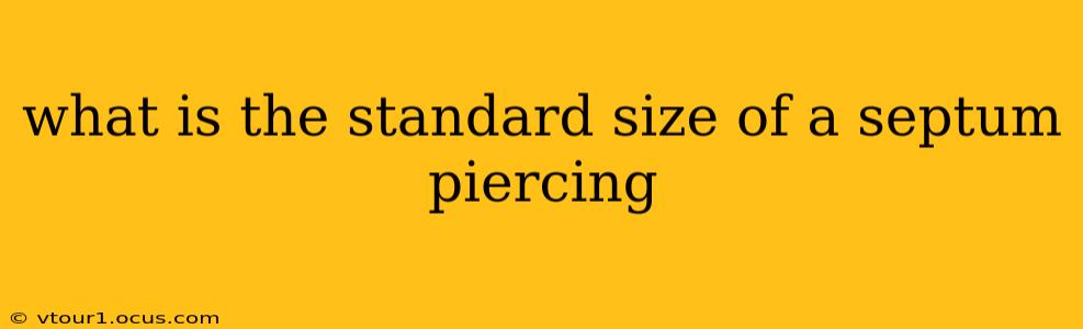 what is the standard size of a septum piercing