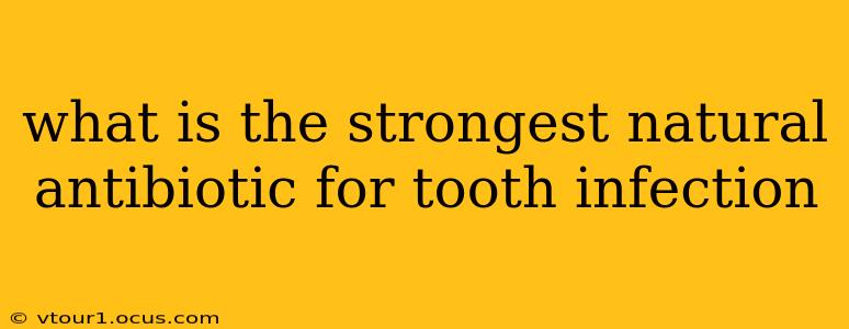 what is the strongest natural antibiotic for tooth infection