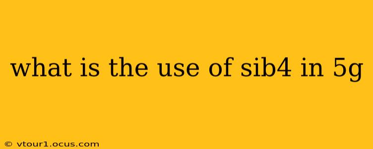 what is the use of sib4 in 5g