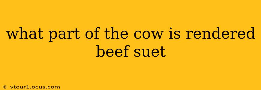 what part of the cow is rendered beef suet