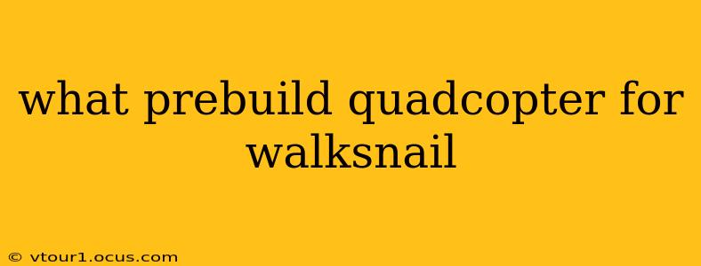 what prebuild quadcopter for walksnail