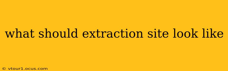 what should extraction site look like