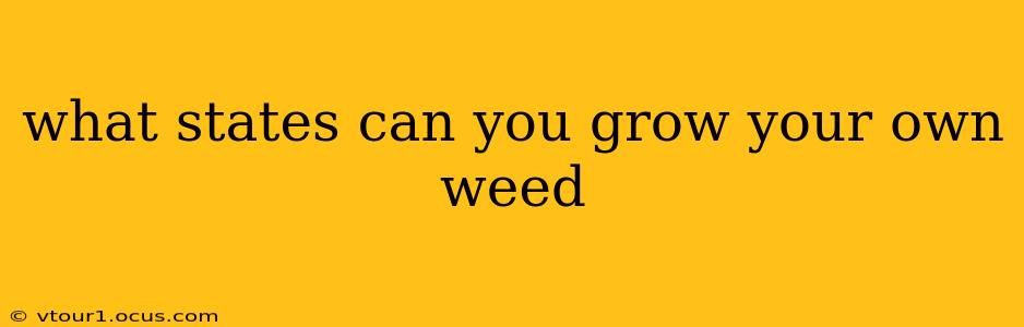 what states can you grow your own weed