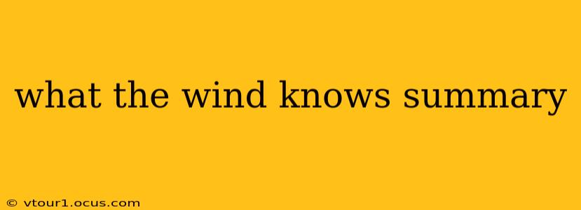what the wind knows summary