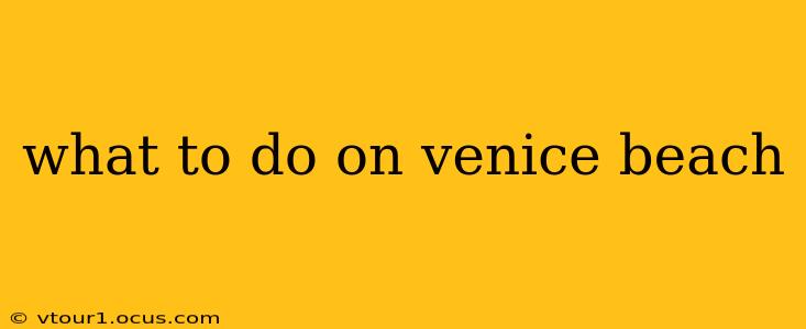 what to do on venice beach