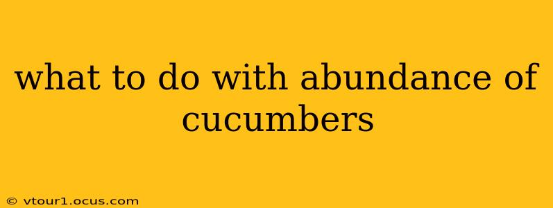 what to do with abundance of cucumbers