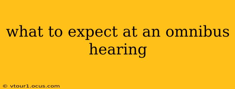 what to expect at an omnibus hearing