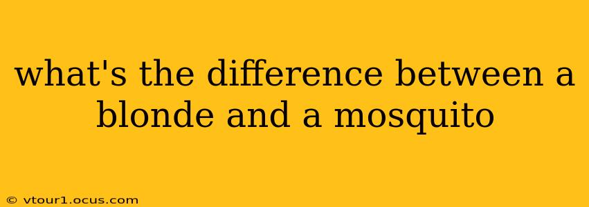 what's the difference between a blonde and a mosquito