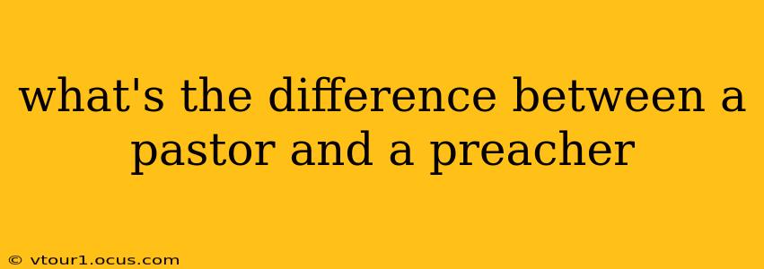 what's the difference between a pastor and a preacher