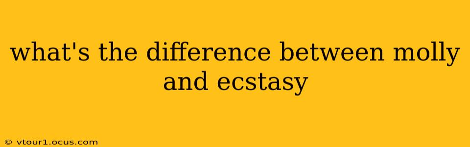 what's the difference between molly and ecstasy