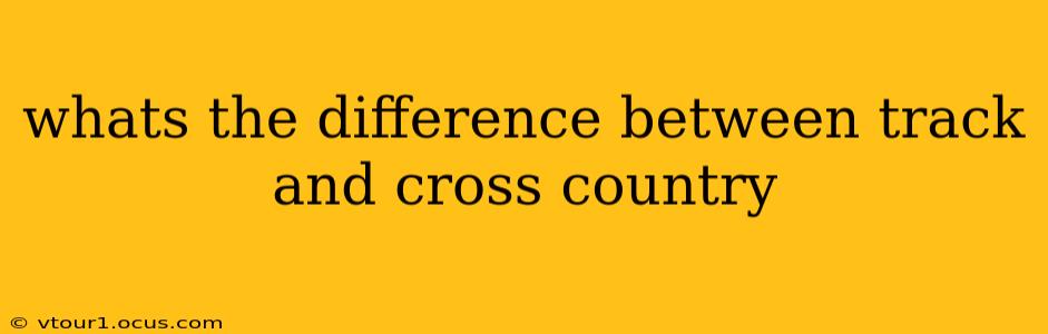 whats the difference between track and cross country