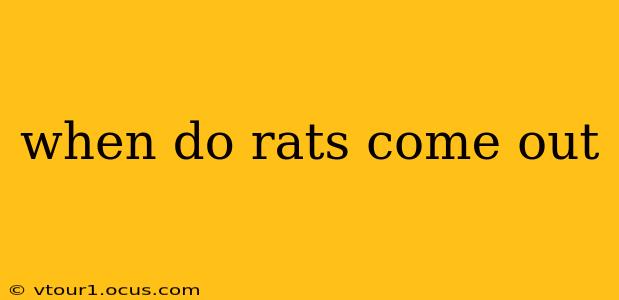 when do rats come out
