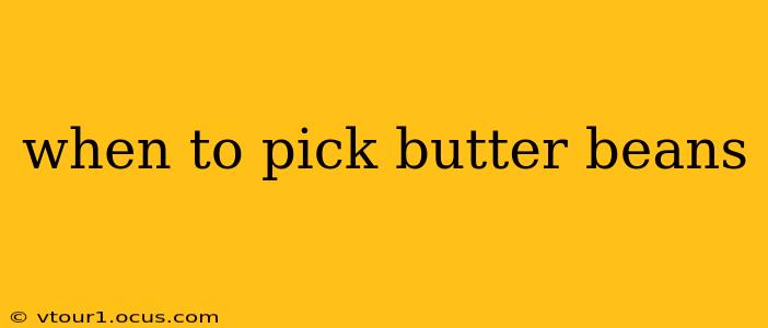 when to pick butter beans