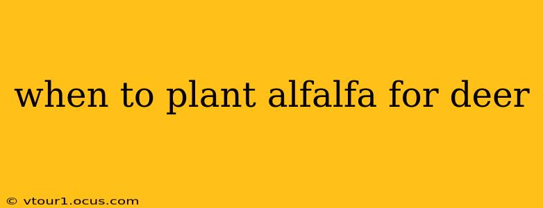 when to plant alfalfa for deer