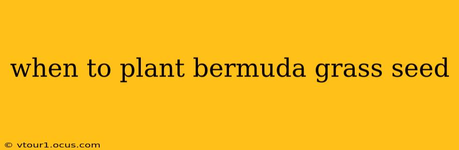 when to plant bermuda grass seed