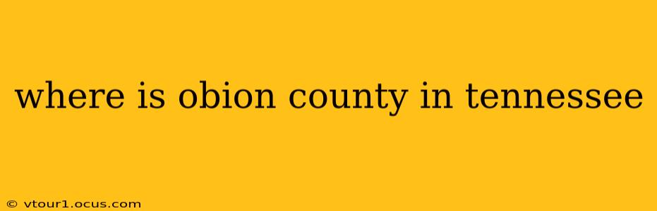 where is obion county in tennessee