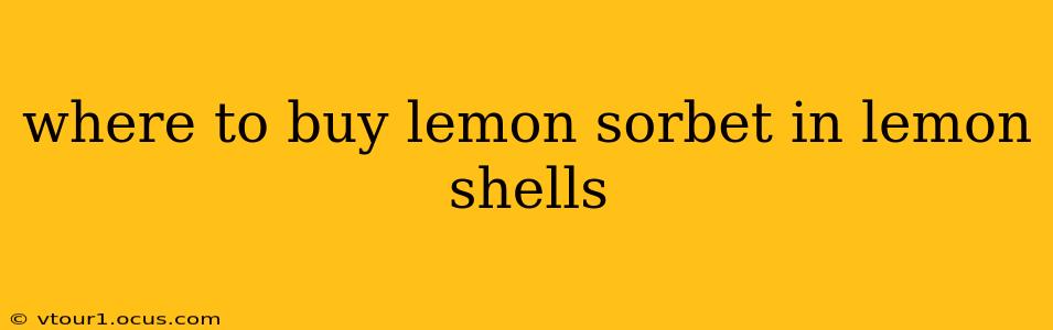 where to buy lemon sorbet in lemon shells