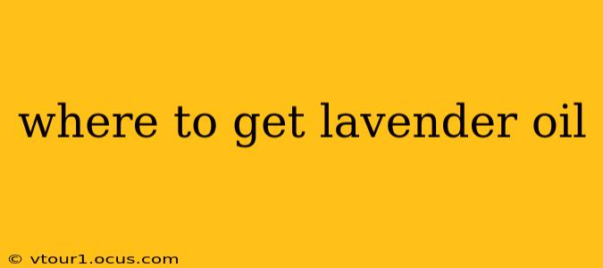 where to get lavender oil