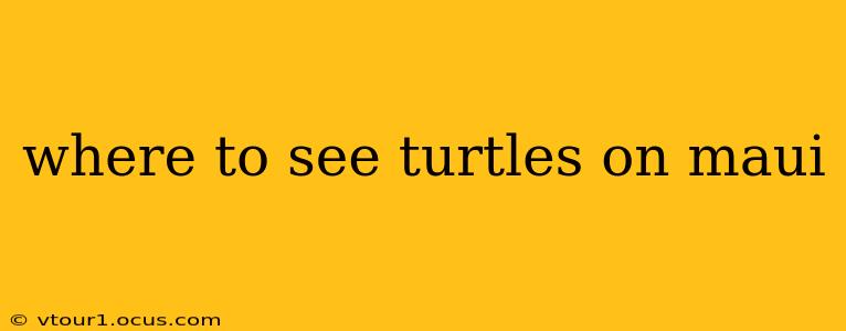 where to see turtles on maui